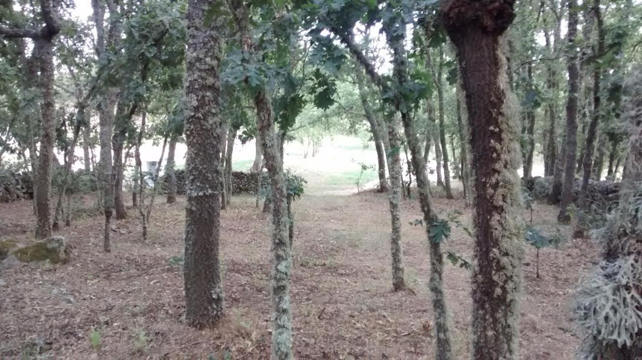 Las Casitas De Las Arribes Hotel Aldeadávila de la Ribera Buitenkant foto